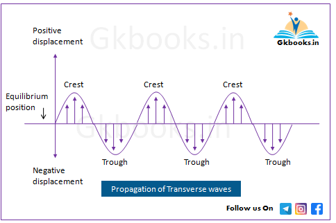Transverse waves on a rope