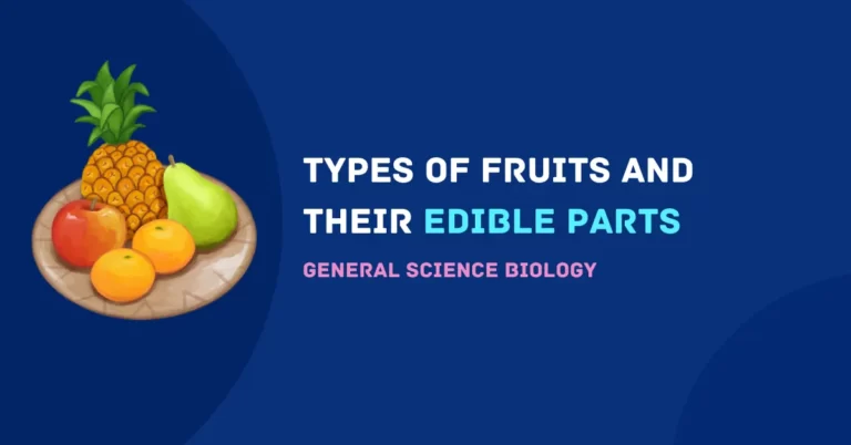 Types of fruits and their edible parts