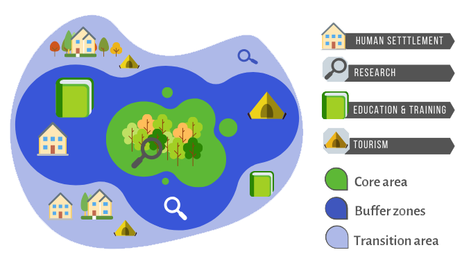 Structures of Biosphere Reserve