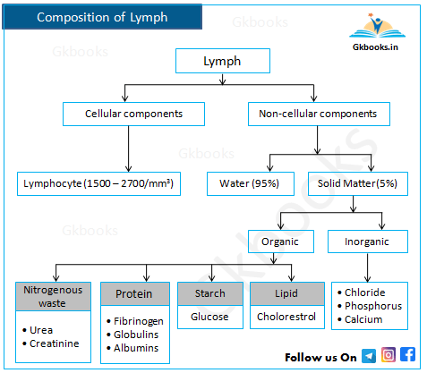 Composition of Lymph