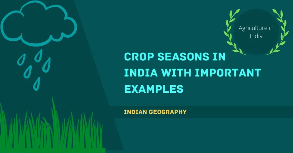 Crop Seasons in India with important examples