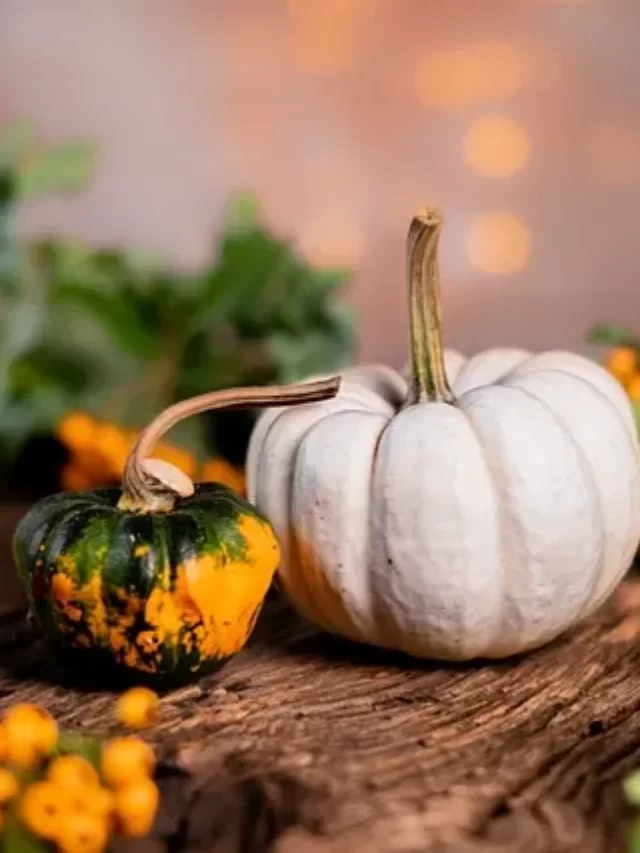 Why is pumpkin called the national vegetable of India?