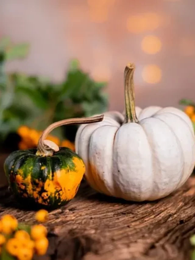 cropped-pumpkins-5641482_640.webp