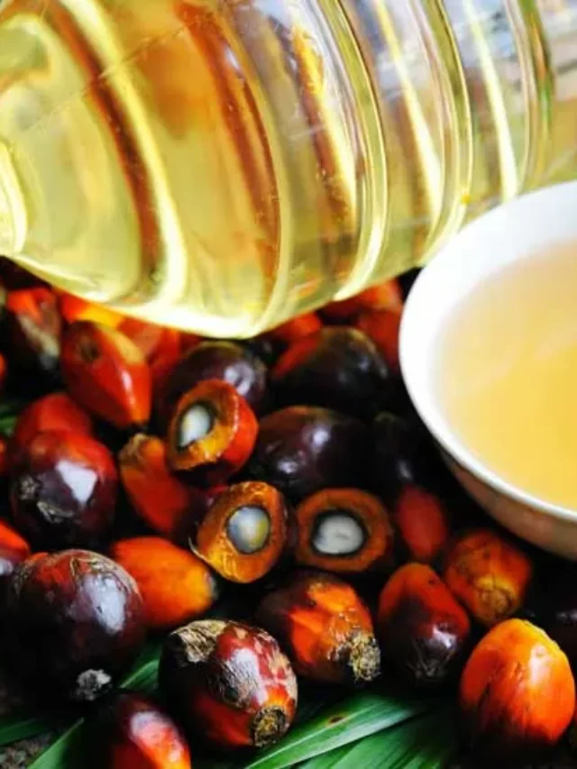 Major Uses of palm oil with top producer