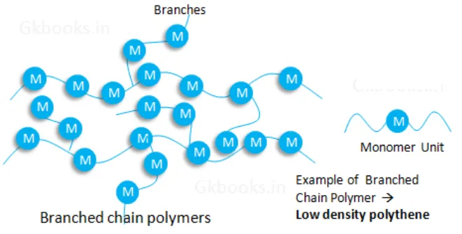Branched Chain Polymers Types of polymers