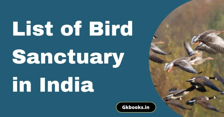 Bird Sanctury in india