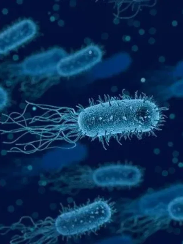 What is Klebsiella pneumoniae bacteria? And how dangerous is it?