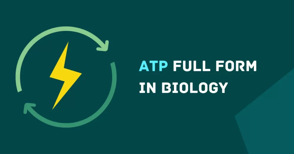 ATP Full form in Biology The text "ATP full form in biology" written on a green background with a energy png