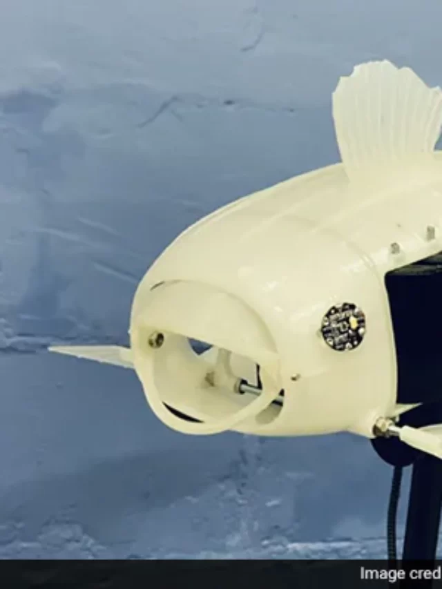 Robot Fish Gillbert