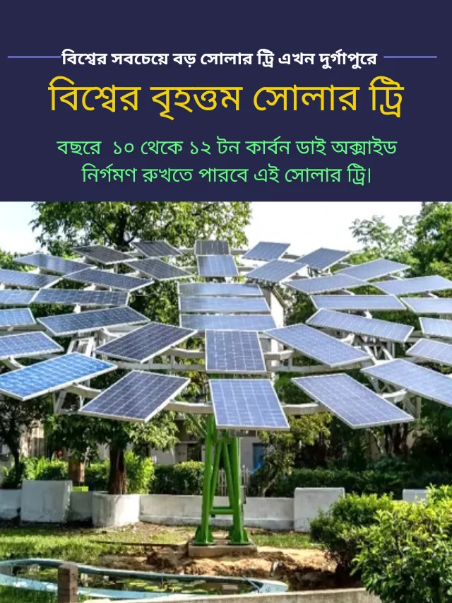 world's-largest-solar-tree-at-durgapur