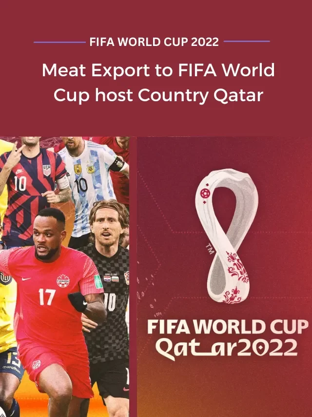 West Bengal exporting meat to FIFA World Cup host Qatar