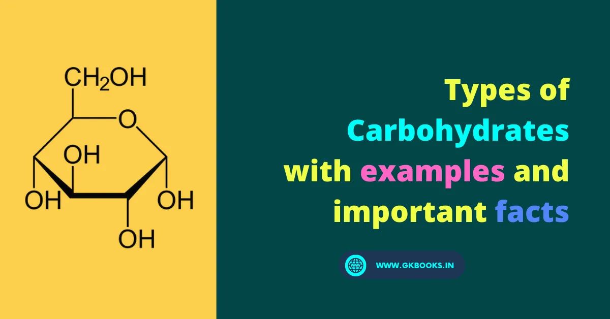 Types of Carbohydrates