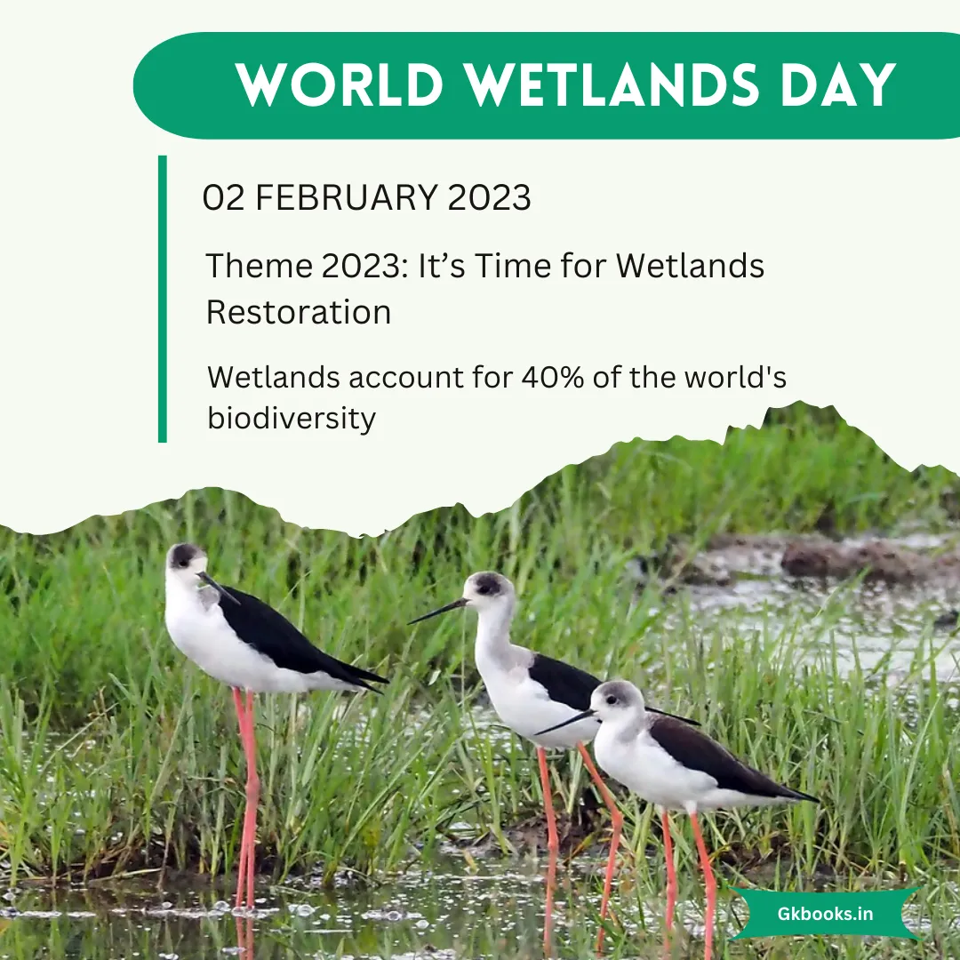 World Wetlands Day 2023 1 World Wetland's Day 2023