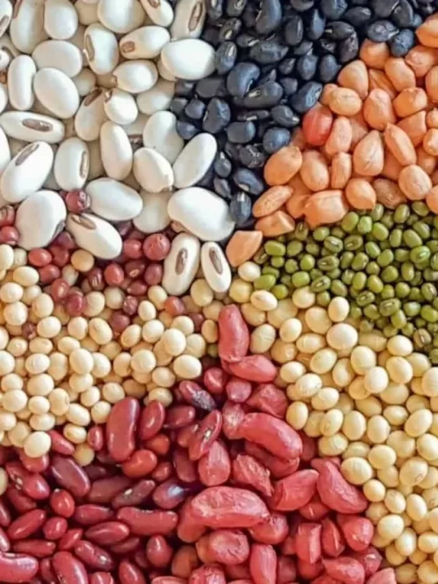 World Pulses Day 2023 : 10 reasons why you should opt for pulses??