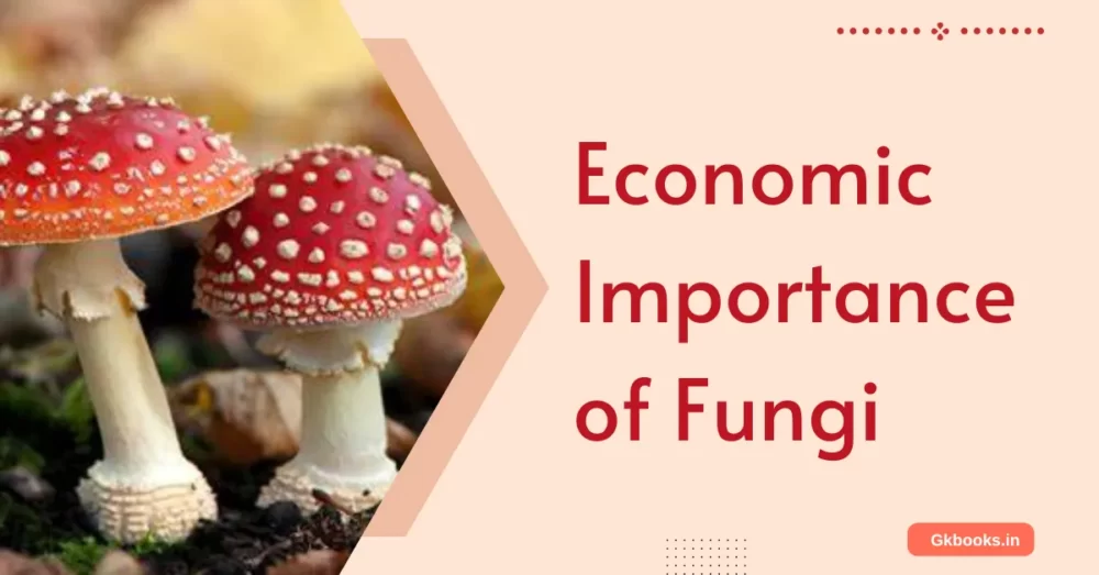 Economic Importance of Fungi