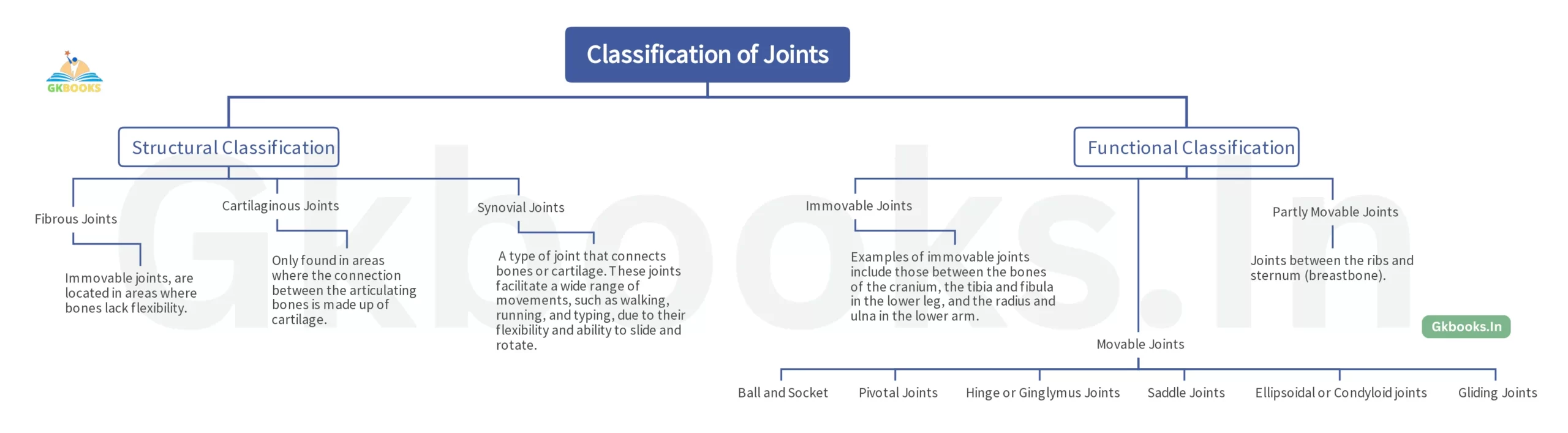 Types of Joints in Human Body