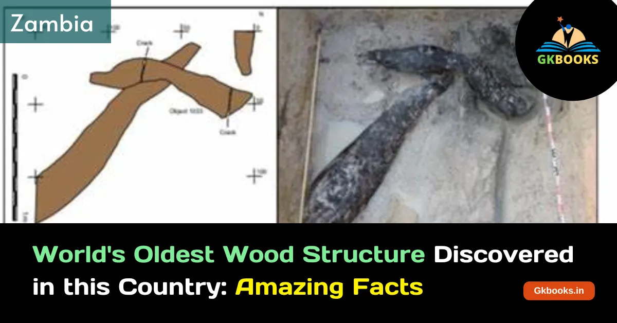 World's oldest known wooden structure found in Zambia