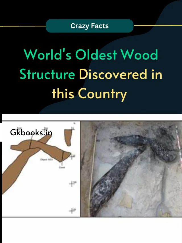 World’s Oldest Wood Structure Discovered in this Country