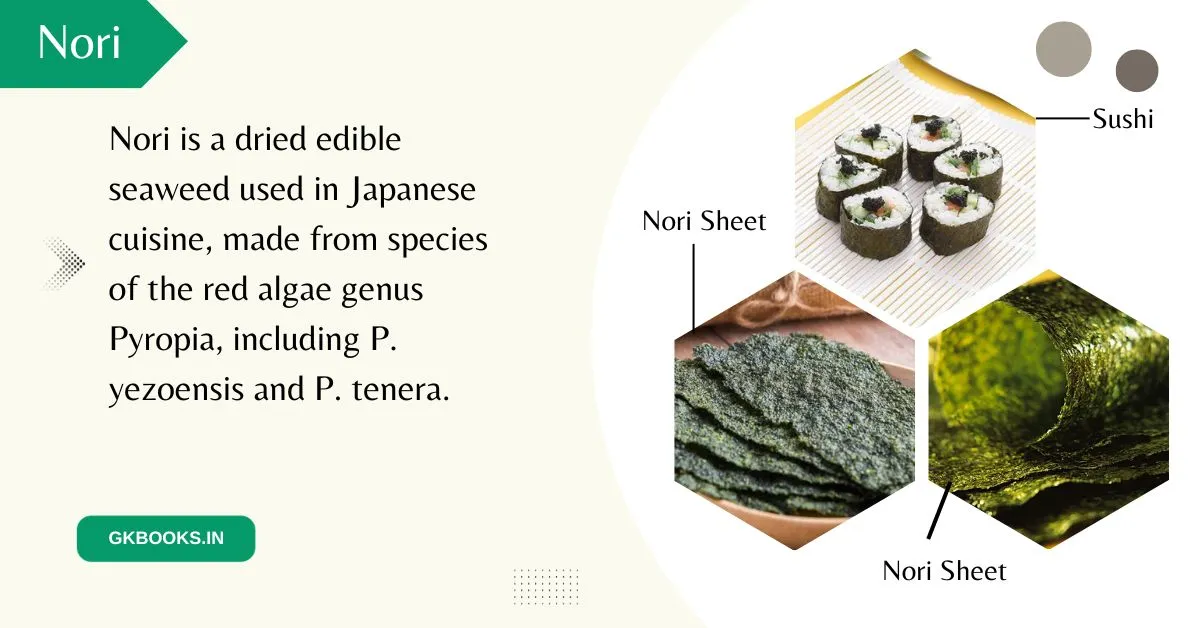 Nori is a dried edible seaweed used in Japanese cuisine