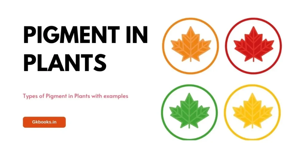 Types of Pigment in Plants with examples