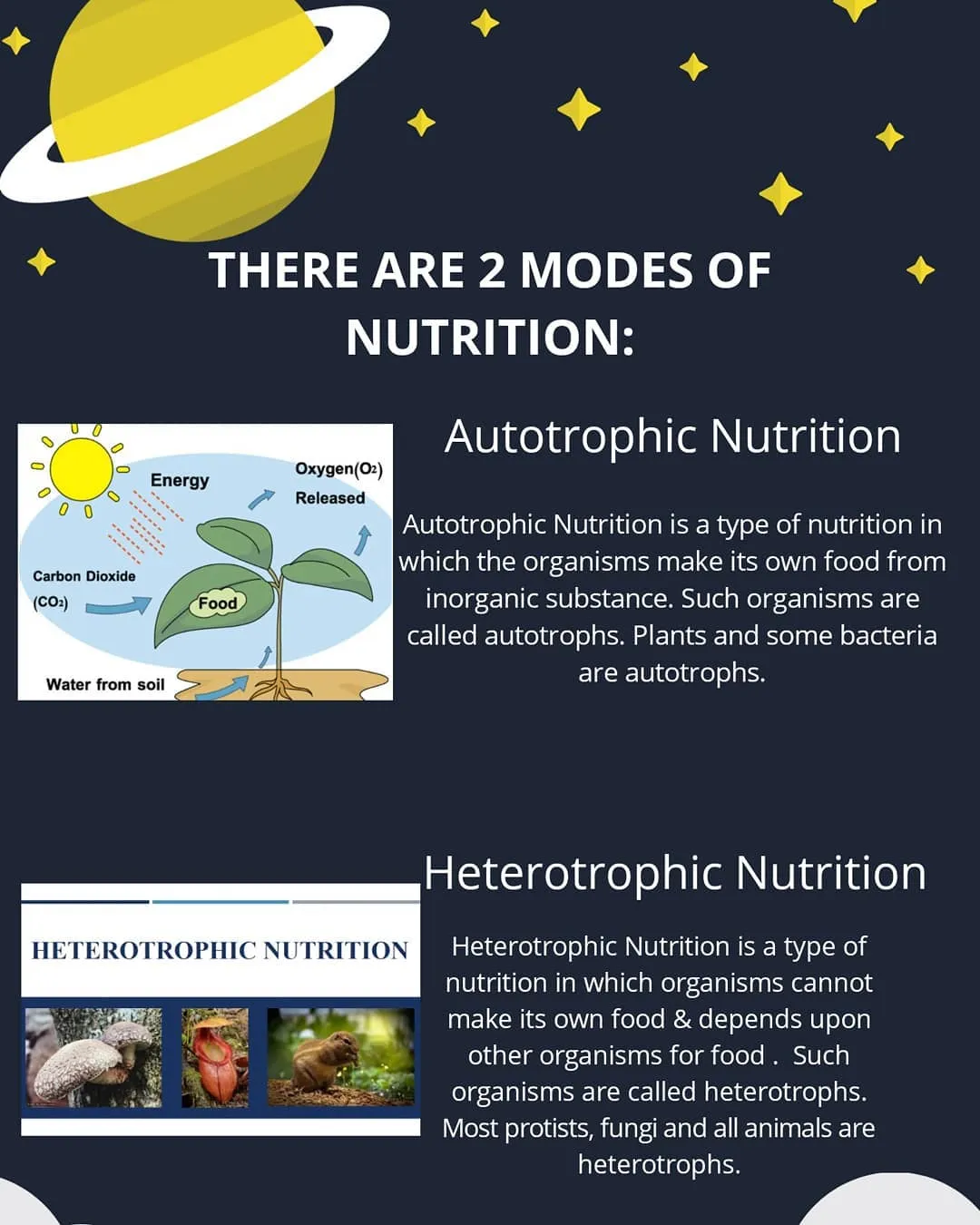 Autotrophic and Heterotrophic Nutrition