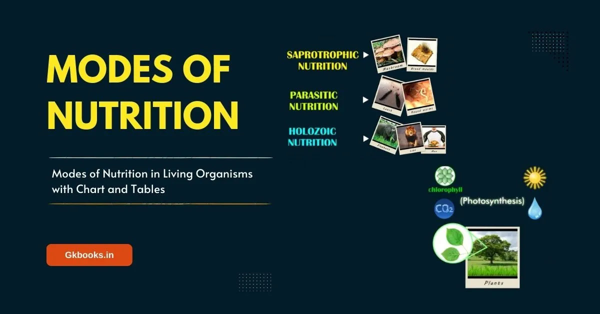 Modes of Nutrition in Living Organisms with Chart and Tables