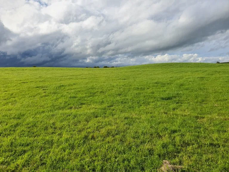 vast grasslands