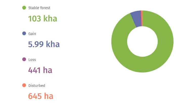 Forest Cover stats,  A Closer Look at the Numbers