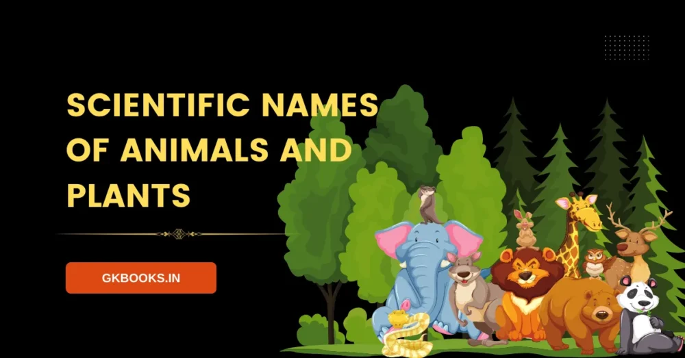 Scientific Names of Animals And Plants