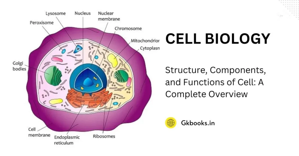 Structure, Components, and Functions of Cell