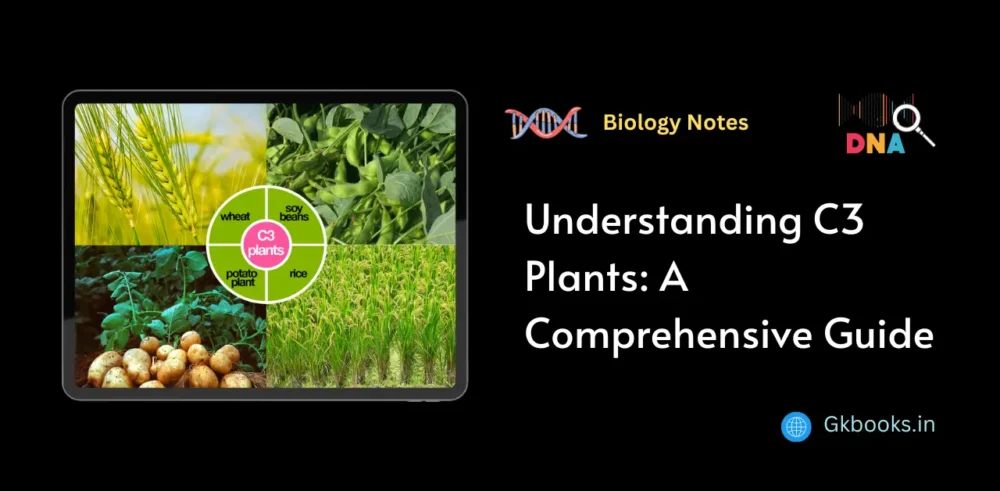 Understanding C3 Plants A Comprehensive Guide