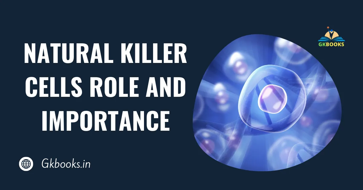 Natural Killer Cells Role and Importance