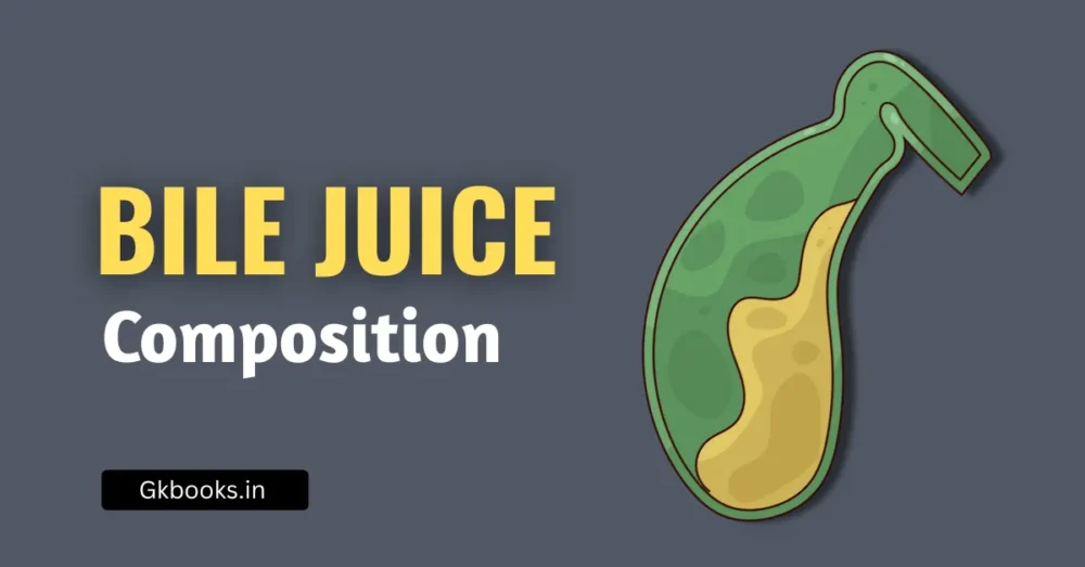 Composition of Bile Juice Quick Revision Notes