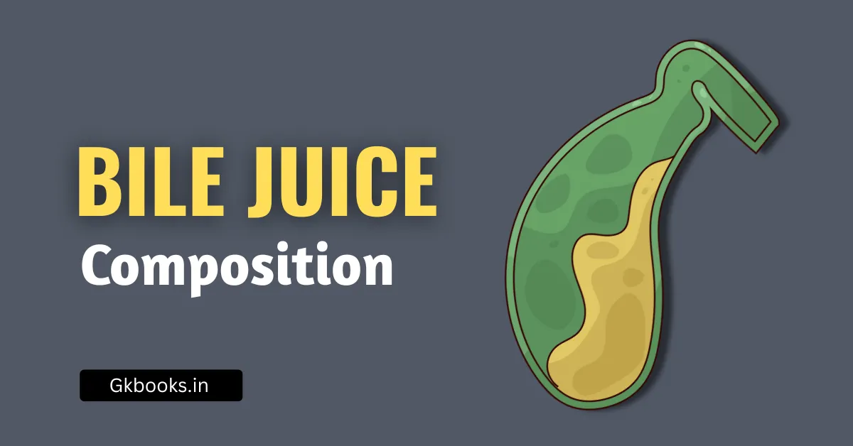 Composition of Bile Juice Quick Revision Notes