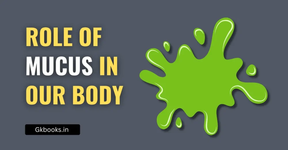 Role of Mucus in the Human Body