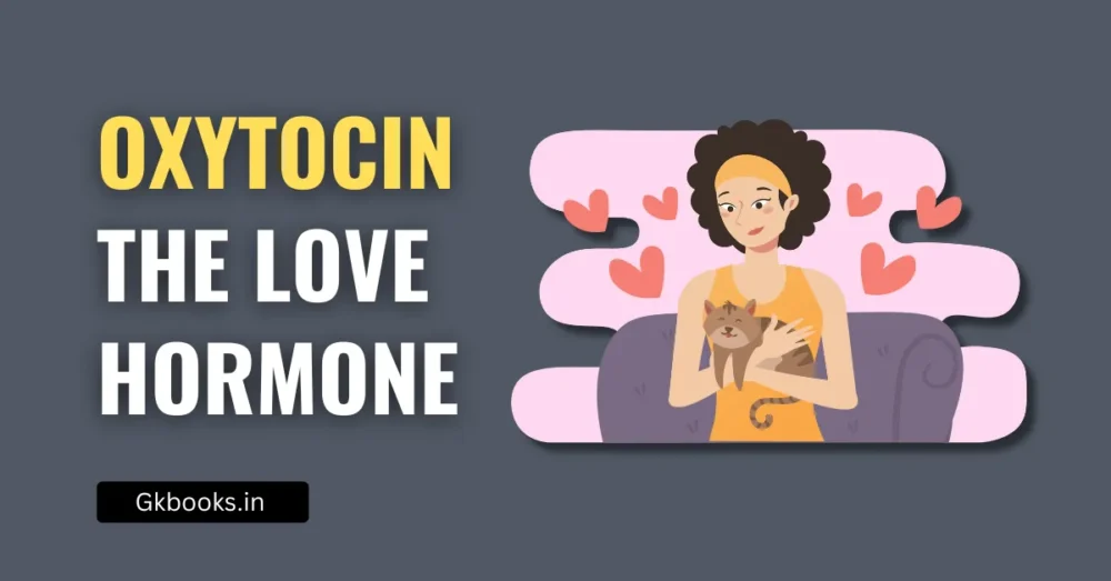 Understanding Oxytocin – The Love Hormone