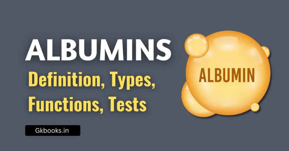 Albumins: Definition, Types, Functions, Tests