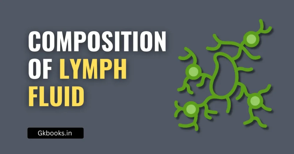 Composition of Lymph Fluid