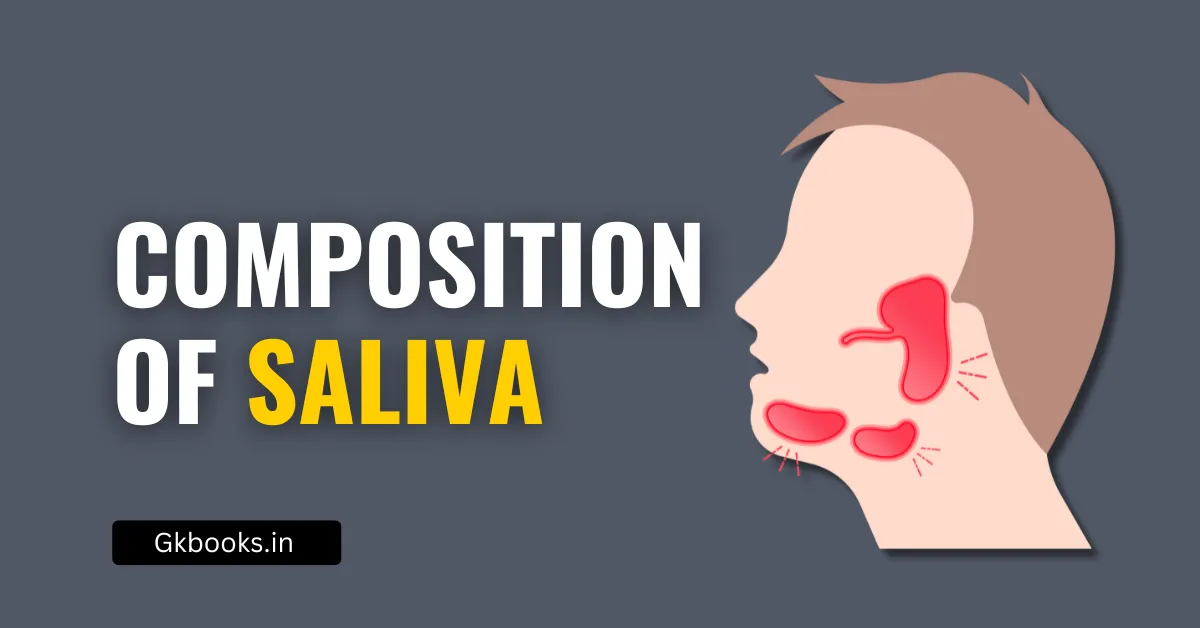 Composition of Saliva – Exam Booster Notes