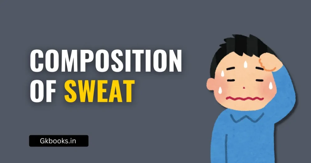 Composition of Sweat – Explained Simply